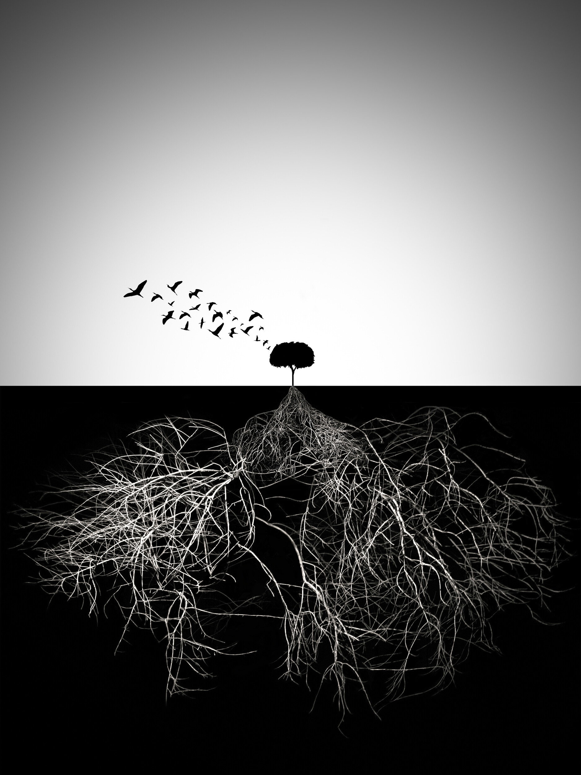 Tree Roots and Flight