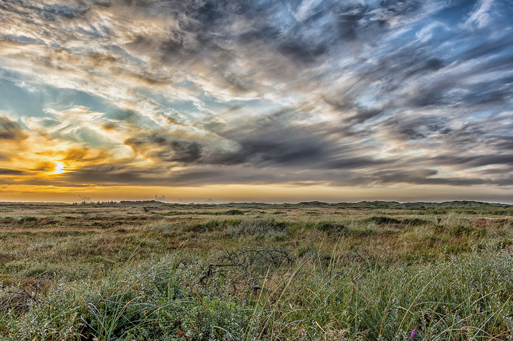 Den ville naturen