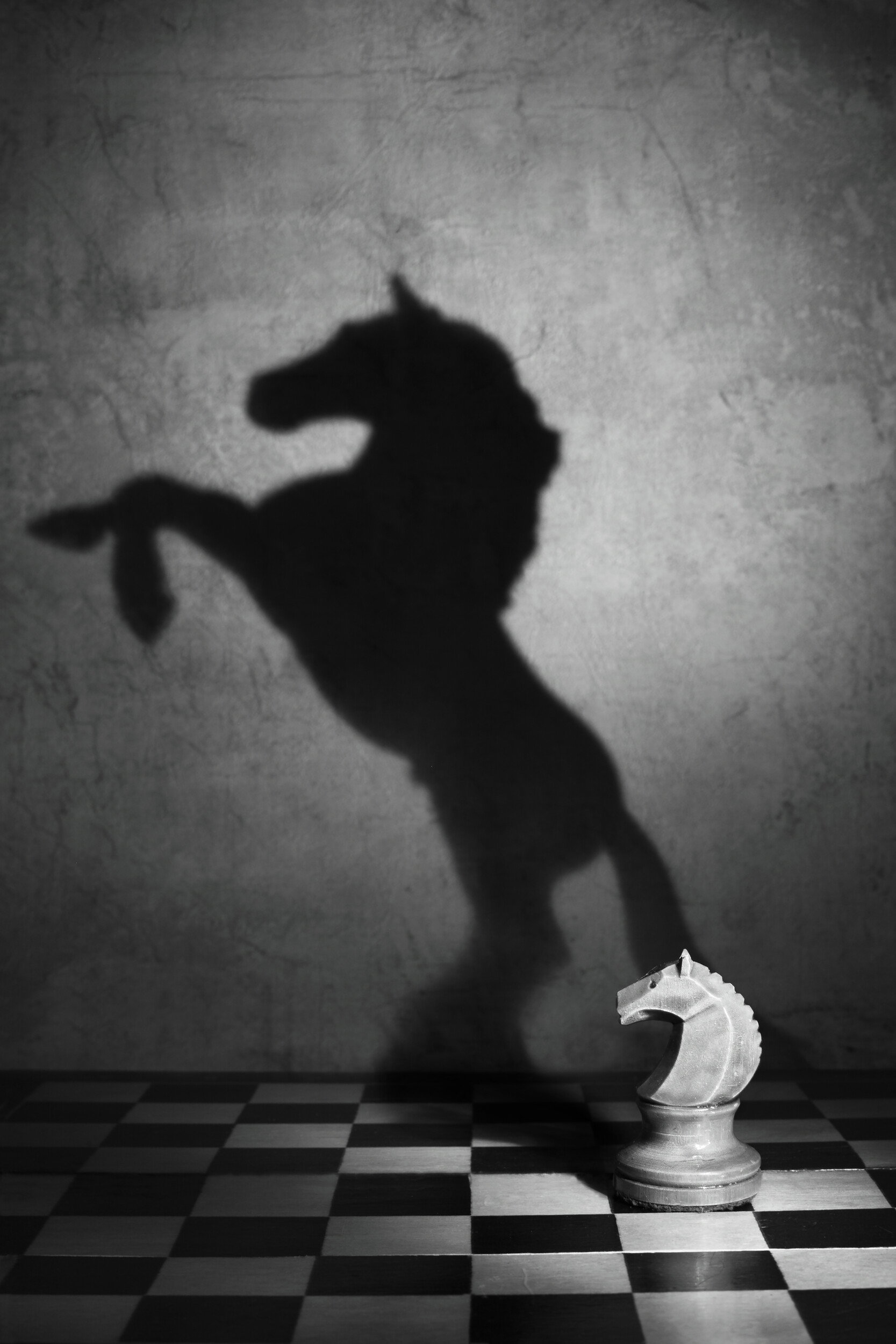 Chess Knight Horse Shadow