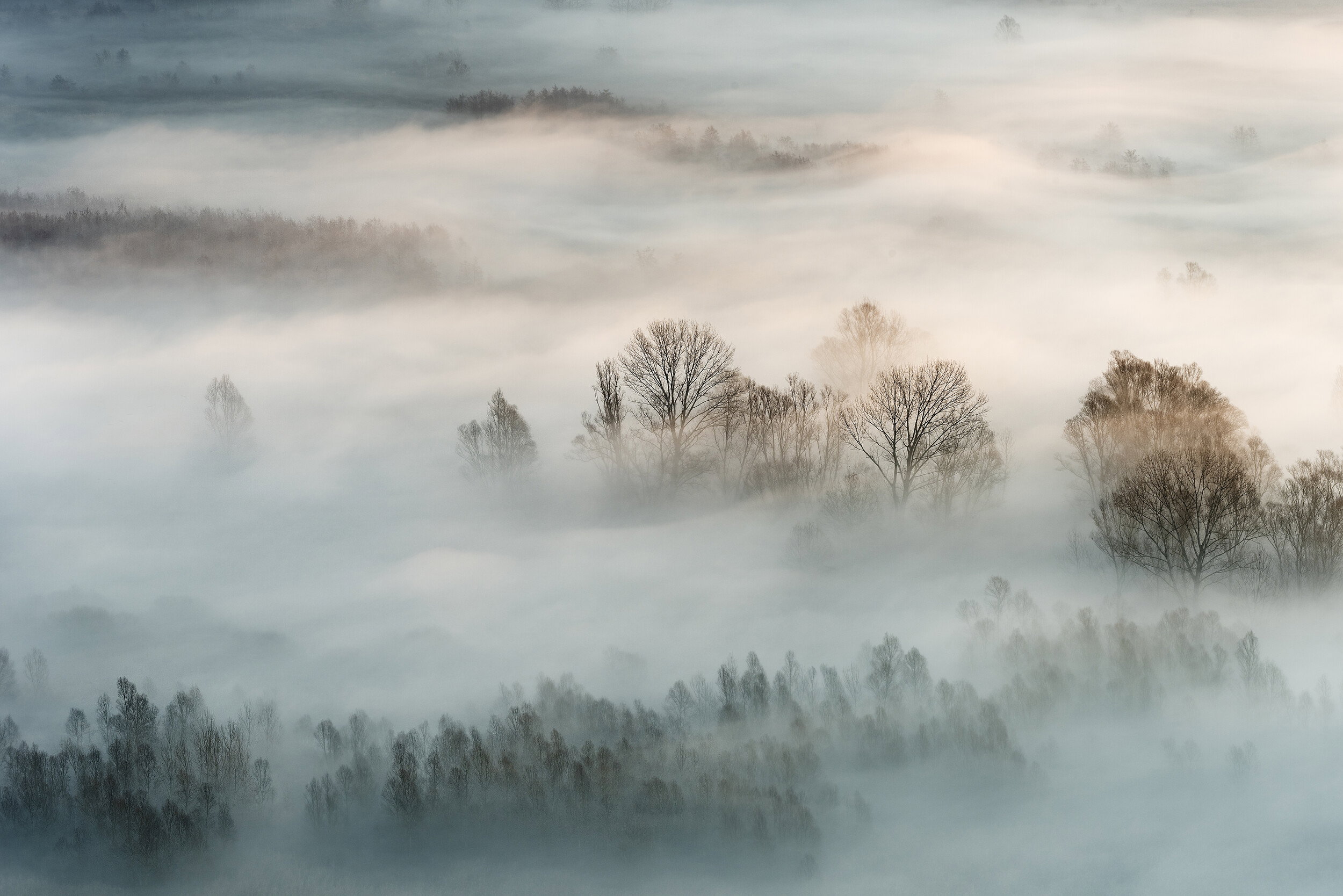 Serene Misty Landscape