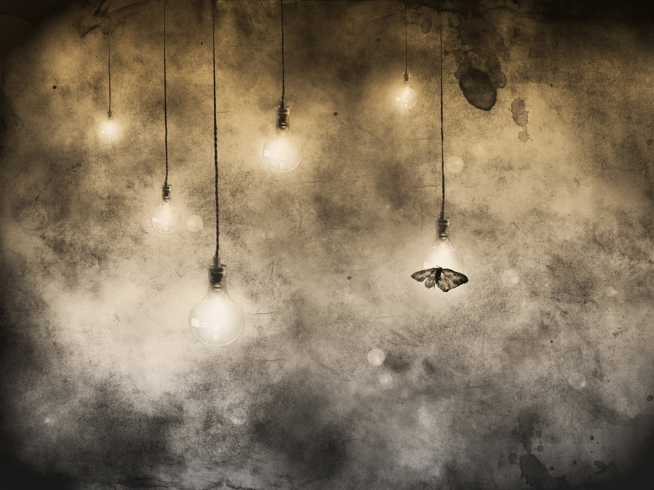 Moth And Glowing Bulbs