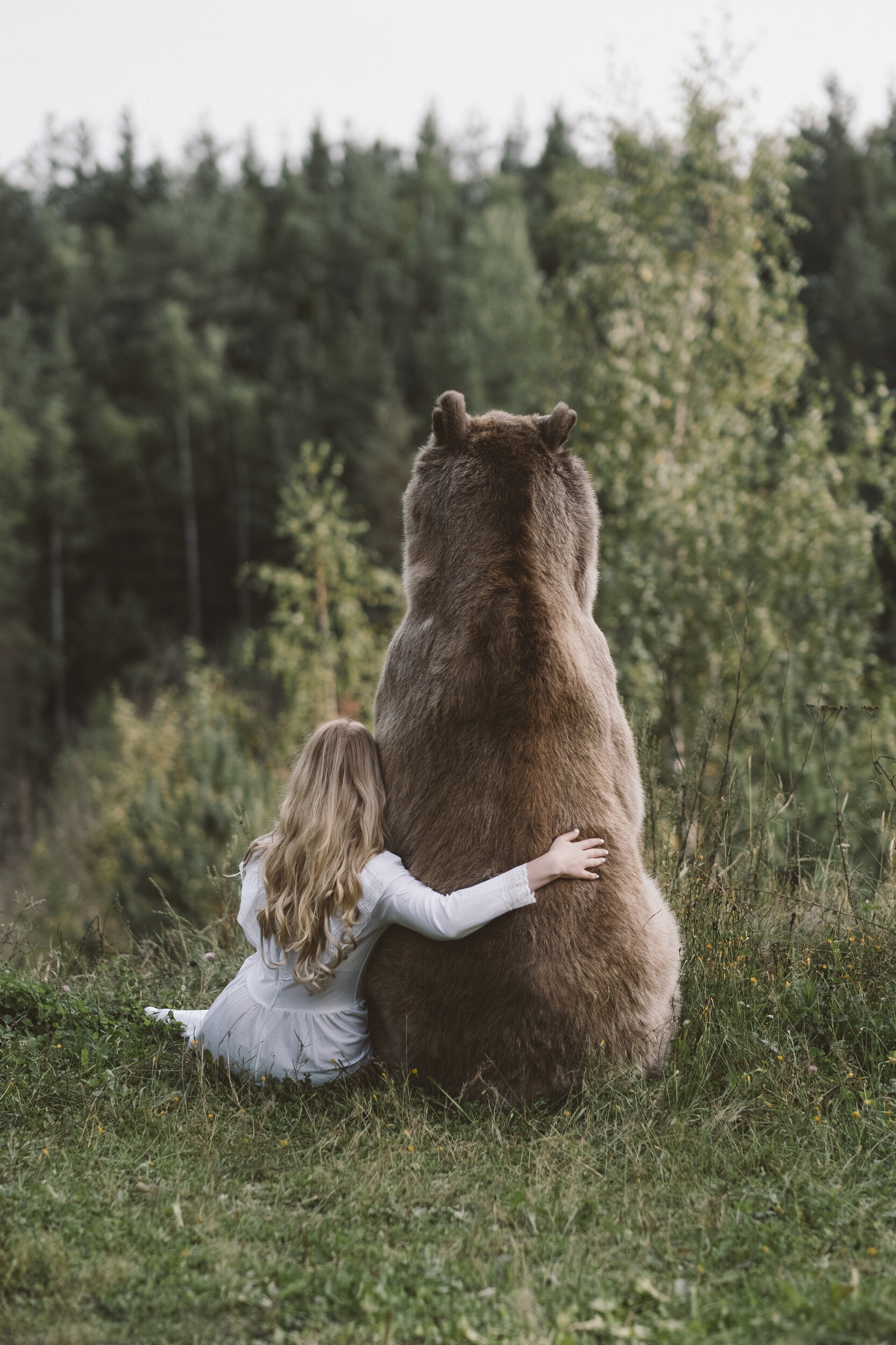 Peaceful Forest Embrace