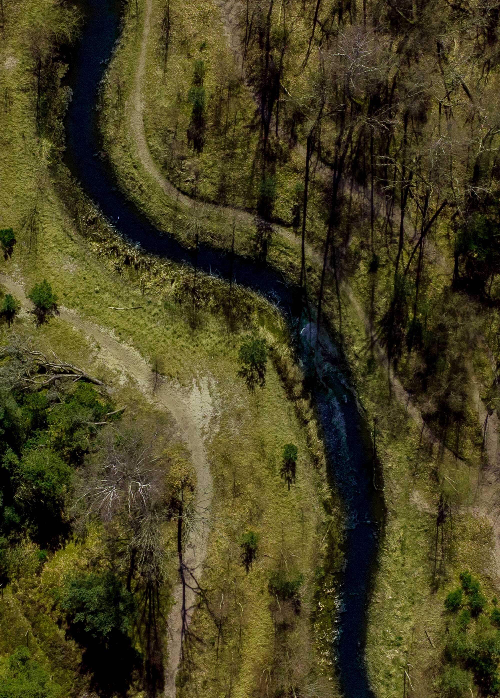 Naturens Flow