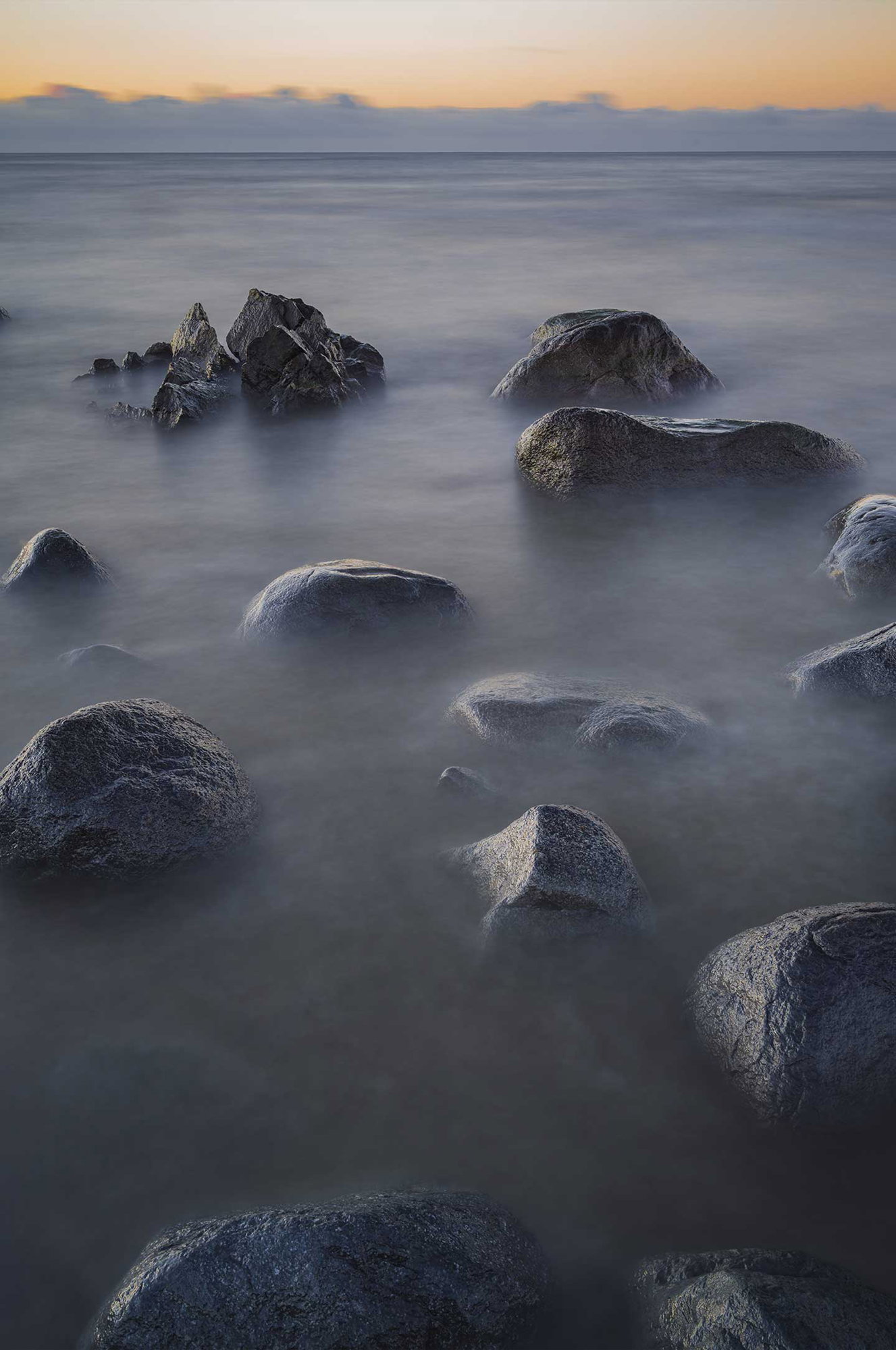 Silent Guardians of the Shore