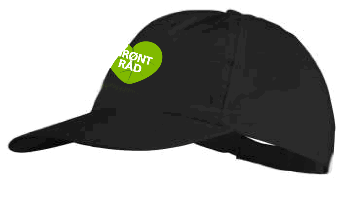 cap-med-logo