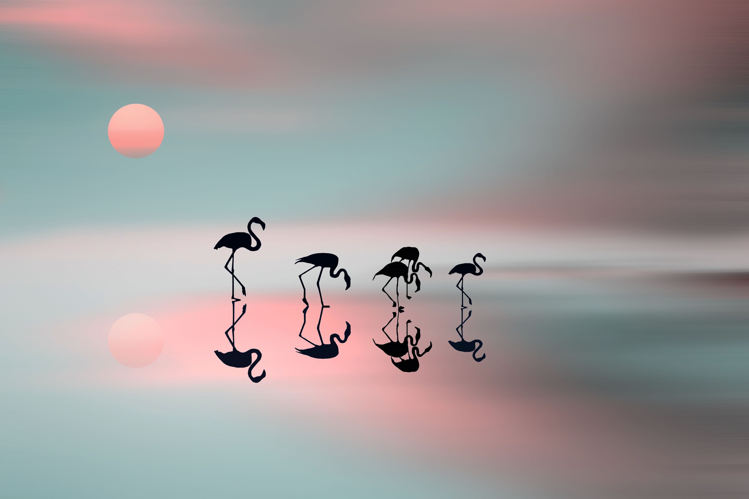 Dreamy Flamingo Sunset