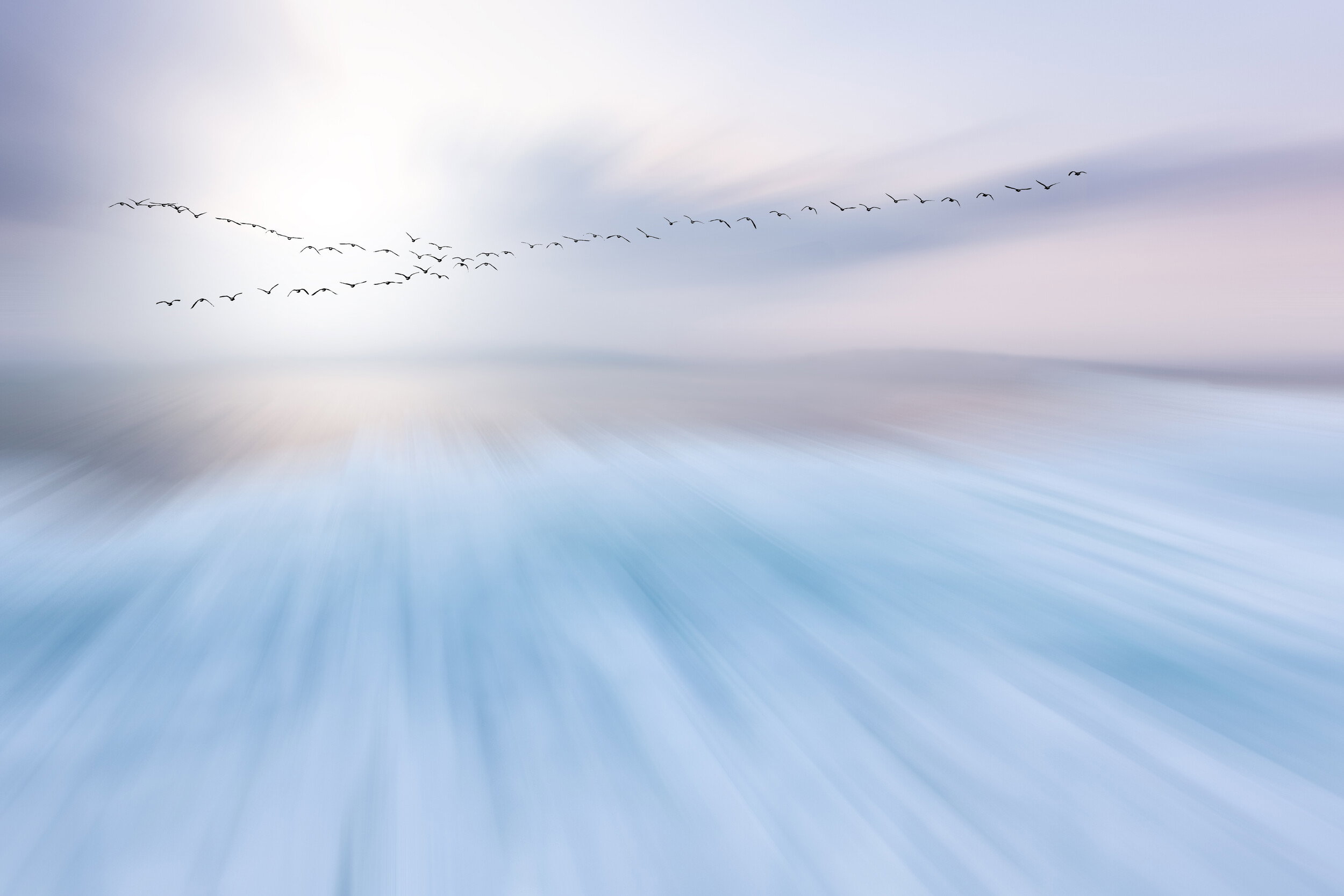 Dynamic Flight Abstract