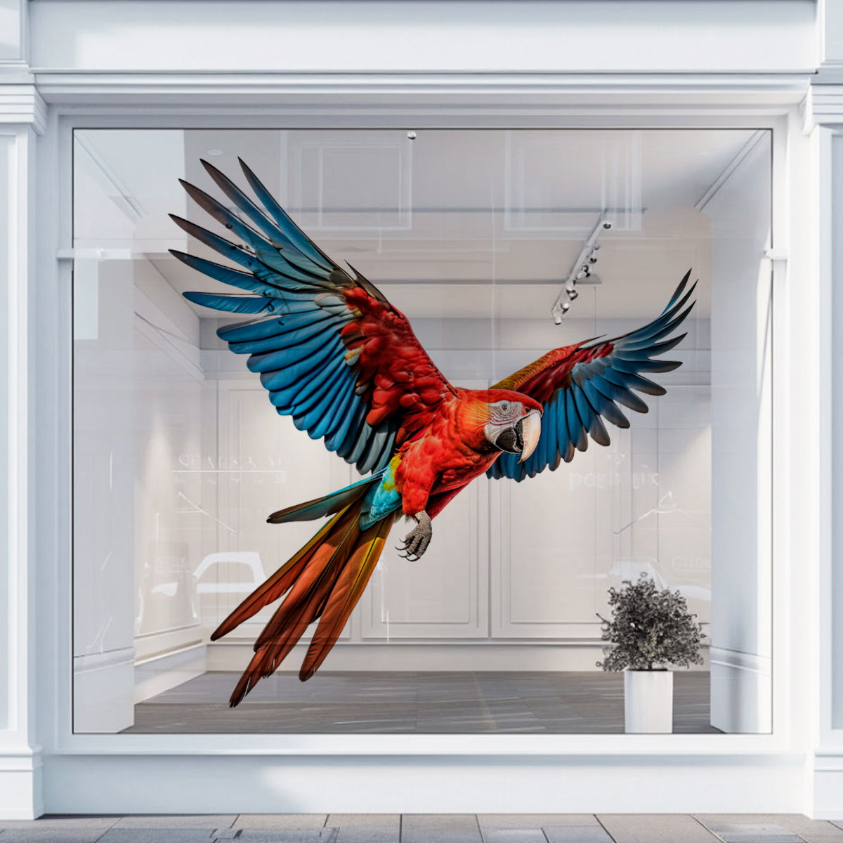 Glasklar folie med print